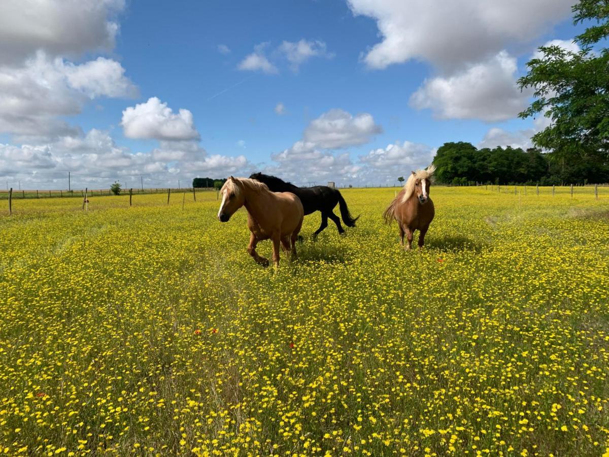 Mobilhome Sous Chalet En Bois A La Ferme Josnes 외부 사진